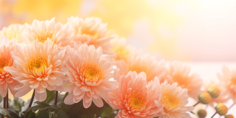 spring blossoming of trees and flowers