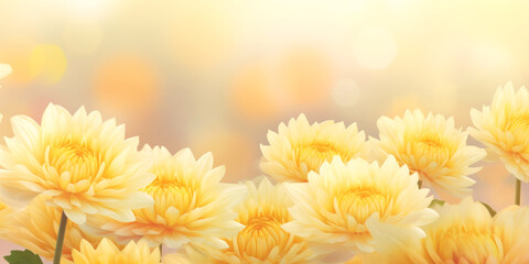 spring blossoming of trees and flowers