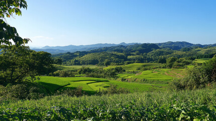 Naklejka premium Photo of A lush terraced rice field stretching across rolling hills under a clear blue sky