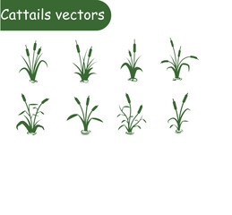 Cattails vector design 