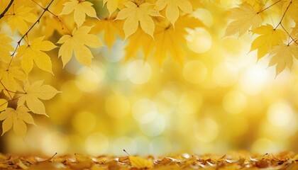 Fototapeta premium Abstract nature autumn Background with yellow leaves