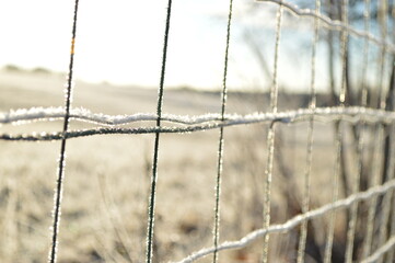  frosty fence on cold winter morning