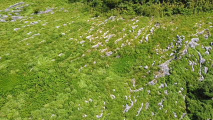 平尾台（三笠台）の上空からの眺望