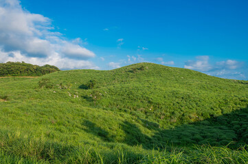 Obraz premium 秋吉台（長者ヶ峰）の眺望