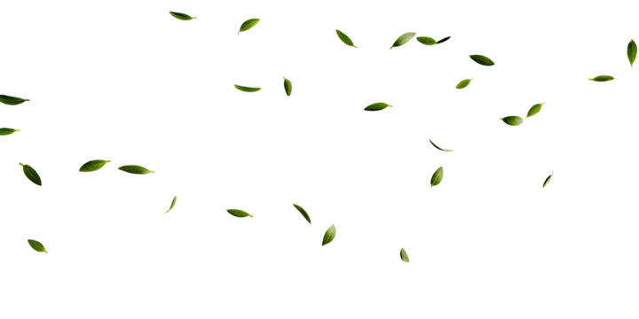 Green leaves fly with a gust of wind on white  background.AI GENERATED