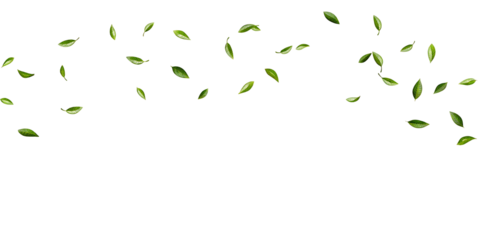 Green leaves fly with a gust of wind on white  background.AI GENERATED