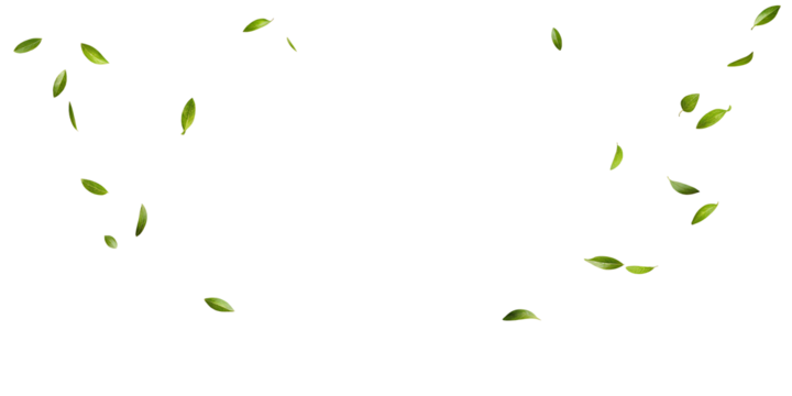 Green leaves fly with a gust of wind on white  background.AI GENERATED