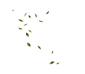 Green leaves fly with a gust of wind on white  background.AI GENERATED