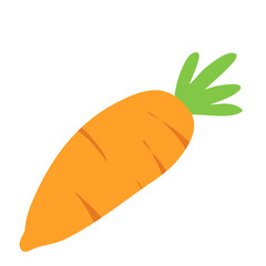 fresh orange carrot with green leafs
