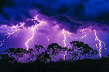 Dramatic purple thunderstorm with multiple lightning strikes illuminating silhouetted trees against a stormy night sky