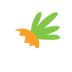 fresh orange carrot with green leafs