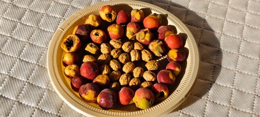 Wild fruits on light background.