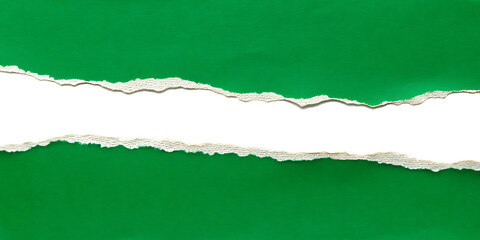 Green ripped paper torn edges strips isolated on white background.AI GENERATED