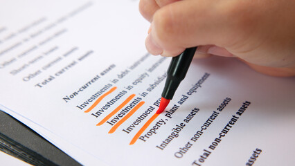 Tax audit review balance sheet return on investment data risk ratio in annual report by GAAP IFRS IAS. Income Cash flow expense payment control checking inspecting equity wealth for stock trader study