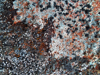 texture on stone