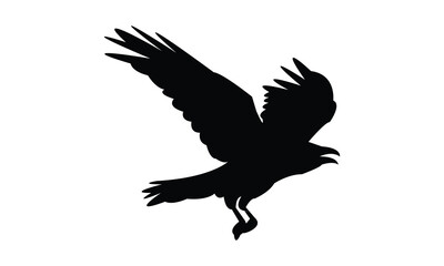 Flying Raven Bird Silhouette Design  And Vector Illustration. 