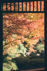 京都の源光庵の紅葉