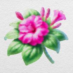 Pink Four O'clock Watercolor
