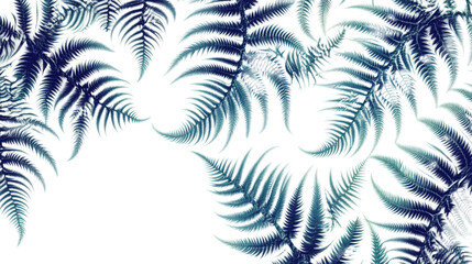 Fern transparent background