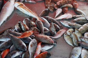 fresh fishes and sea  product from the farmer's market of Rhodes , Greece