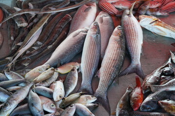 fresh fishes and sea  product from the farmer's market of Rhodes , Greece