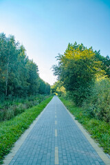 Asphalt bike path in the countryside between the trees. Place for cycling in the forest. Equipped place for sports.