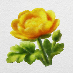 Yellow Flower Watercolor
