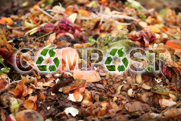 Compost background close up. Compost above the composter with organic waste. A composting pile of...