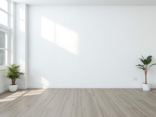 White empty wall in a modern room with natural light, elegance, background