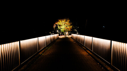 橋の向こうの紅葉