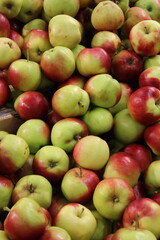 red and green apples on the market. Fresh Apples on Display.