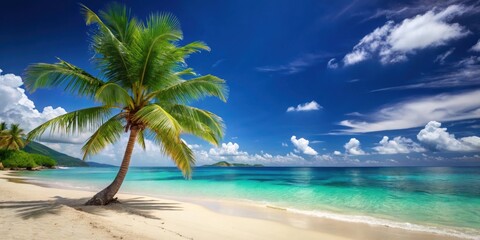 Obraz premium Tropical paradise beach with a lone pine tree, tropical, beach, paradise, pine tree, sand, ocean, turquoise, palm fronds