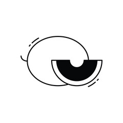 Melon vector icon