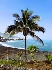 Puerto de la Cruz auf Teneriffa in Spanien