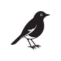 bird silhouette vector, black and white silhouette, vector and illustration, black and white, isolated on white background