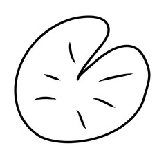 water lily leaf