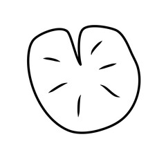 water lily leaf