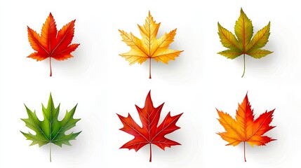 Vibrant Autumn Leaves in Seasonal Symmetry and Diverse Colors