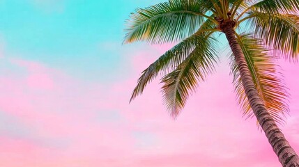 a photostock of a  sky in pink tones with a palm tree view from below