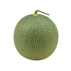 green melon isolated on white