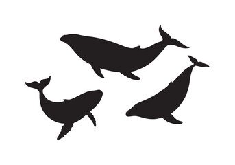 set whale silhouette