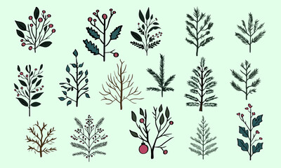 Collector's set of different plants, vector
