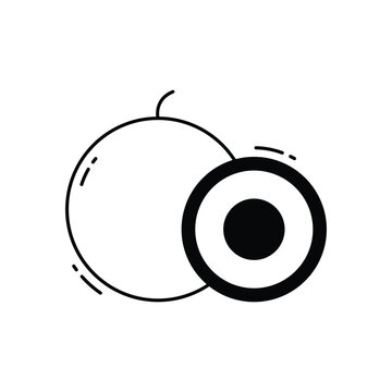 Longan vector icon