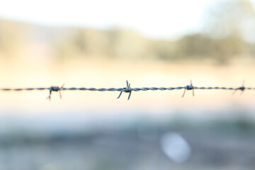 Close up section of barbed wire fence on frosty winter morning