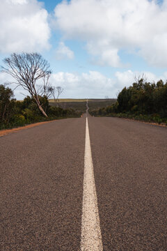 famous road on Kangaroo Island, the vegetation has regrown since the devastating bushfires of 2019