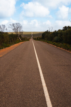 famous road on Kangaroo Island, the vegetation has regrown since the devastating bushfires of 2019