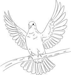 Obraz premium white dove flying