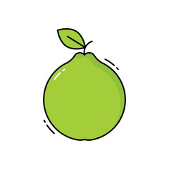 Guava vector icon