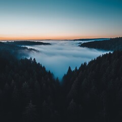Fototapeta premium Serene Dawn Over Fog-Shrouded Evergreen Forest Valley