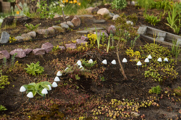 A Beautiful Lush Garden Featuring a Unique Plant Arrangement Alongside Decorative Stones